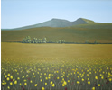 Pen y Fan and Corn Du click for larger image in a new window